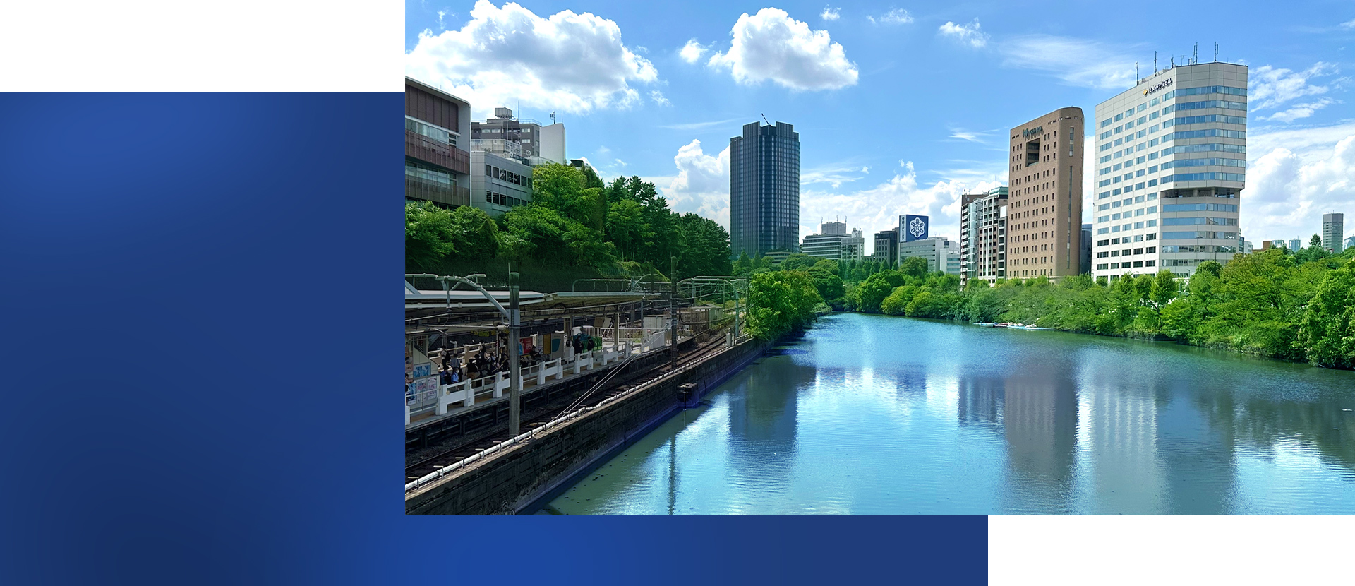 弁護士法人ルネサンス